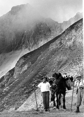 Renovierung Erihütte